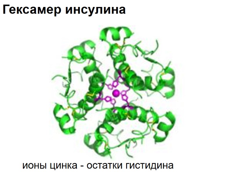 Гексамер инсулина ионы цинка - остатки гистидина